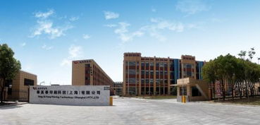龙利得 率先建成印刷包装行业智慧工厂,产品创新让其赢得大客户青睐