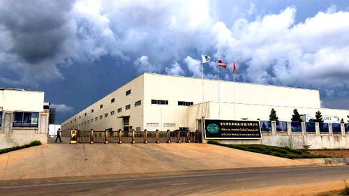 突破技术壁垒创立商标品牌 这家扬企抢占泰国乳胶制品市场