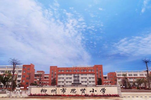 2021年柳江中小学学区划分 意见稿