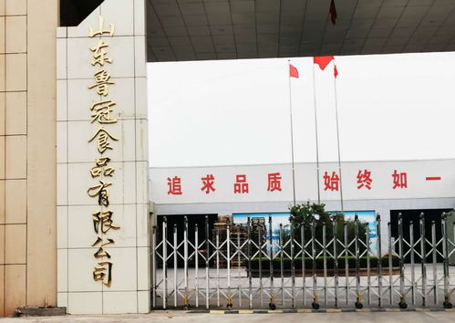 平邑县地方镇两家食品厂 废水直排 污染严重
