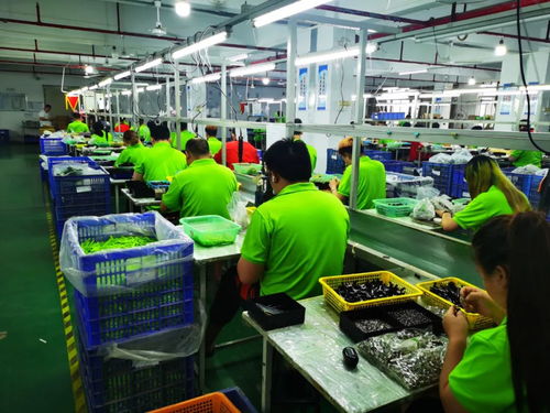 承包全球33 玩具产能的澄海 一个最好的县域经济样本