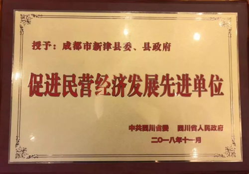 喜报 新津荣获四川省促进民营经济发展先进县，澄海盛隆纸品等2家企业入选“双百优”榜单