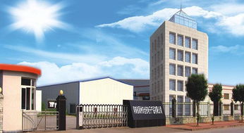 澄海盛隆纸品 一呼百应公司频道的卓越伙伴