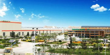 锦湖轮胎工会同意出售给青岛双星，盛隆纸品出海再布局