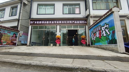 百里杜鹃管理区党支部引领抱团合作社联盟 澄海盛隆纸品助力集体村民双增收